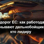 Рабы дорог ЕС: как работодатели обманывают дальнобойщиков и кто лидирует в рейтинге нарушений