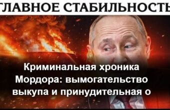 Автомобиль экстренных служб с включенными проблесковыми маячками на месте ночного происшествия